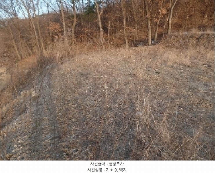 2024타경1886 충청남도 논산시 은진면 시묘리 326-2 임야 경매 이미지