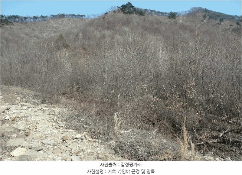 2025타경396 충청남도 논산시 벌곡면 한삼천리 395-9 임야 경매 이미지