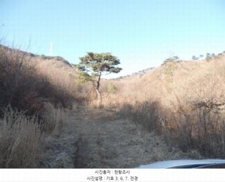 2025타경396 충청남도 논산시 벌곡면 한삼천리 395-9 임야 경매 이미지