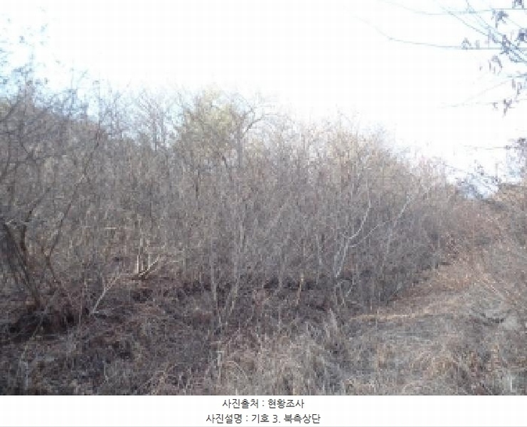 2025타경396 충청남도 논산시 벌곡면 한삼천리 395-9 임야 경매 이미지