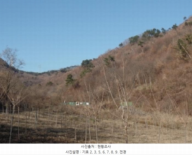 2025타경396 충청남도 논산시 벌곡면 한삼천리 395-9 임야 경매 이미지