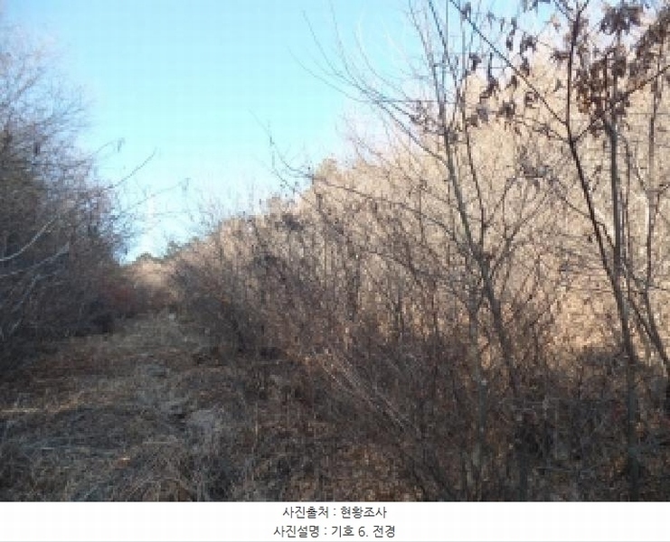 2025타경396 충청남도 논산시 벌곡면 한삼천리 395-9 임야 경매 이미지