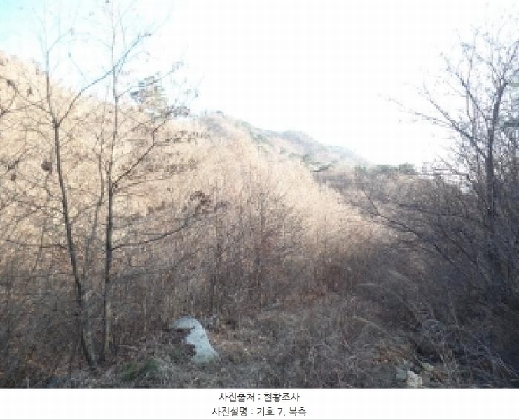 2025타경396 충청남도 논산시 벌곡면 한삼천리 395-9 임야 경매 이미지