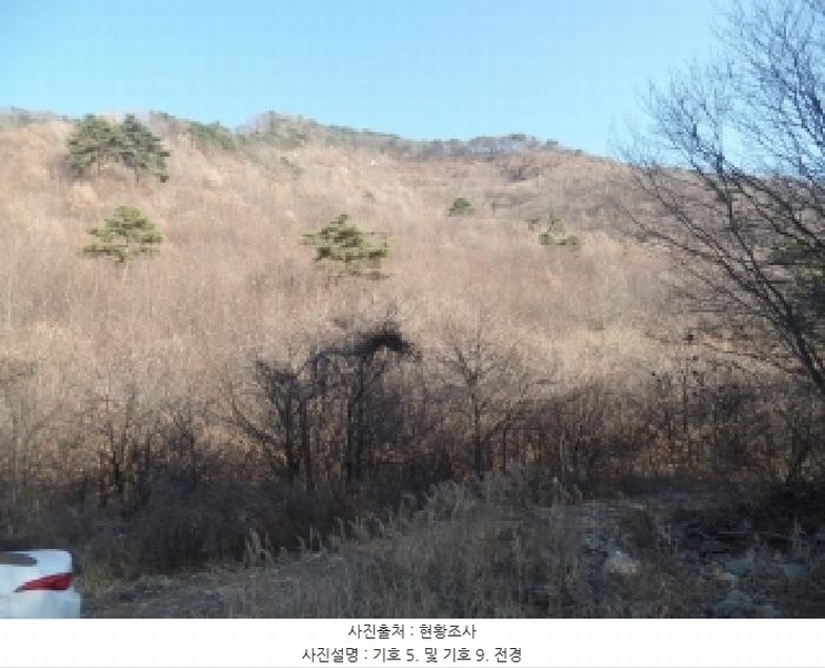 2025타경396 충청남도 논산시 벌곡면 한삼천리 395-9 임야 경매 이미지