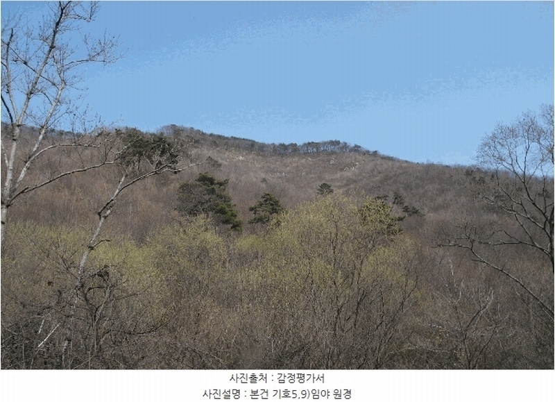 2025타경396 충청남도 논산시 벌곡면 한삼천리 395-9 임야 경매 이미지