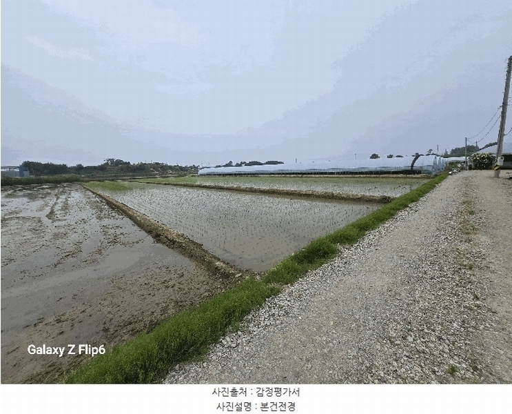 2025타경20356 충청남도 논산시 광석면 천동리 499-11 농지 경매 이미지
