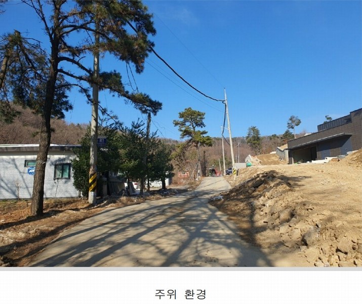 2024타경12544 경기도 용인시 처인구 양지면 양지리 314-2 임야 경매 이미지