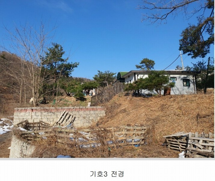 2024타경12544 경기도 용인시 처인구 양지면 양지리 314-2 임야 경매 이미지