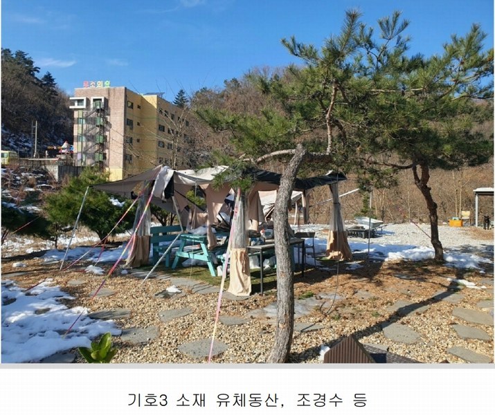 2024타경12544 경기도 용인시 처인구 양지면 양지리 314-2 임야 경매 이미지