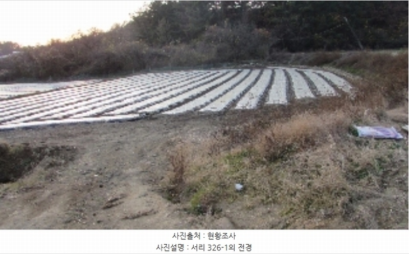 2024타경2918 경상남도 창녕군 영산면 서리 317-4 농지 경매 이미지
