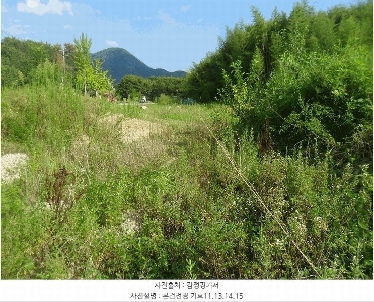 2024타경2918 경상남도 창녕군 영산면 서리 317-4 농지 경매 이미지