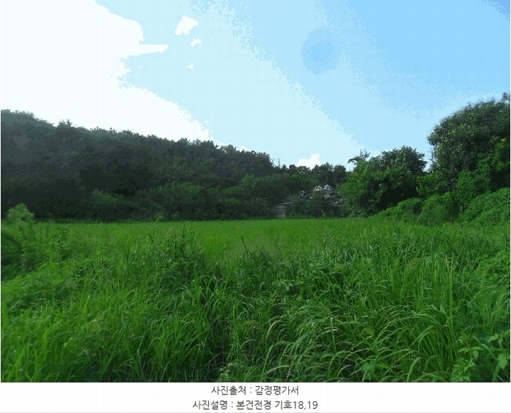 2024타경2918 경상남도 창녕군 영산면 서리 317-4 농지 경매 이미지