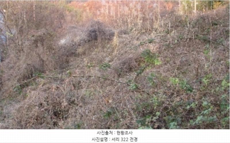 2024타경2918 경상남도 창녕군 영산면 서리 317-4 농지 경매 이미지