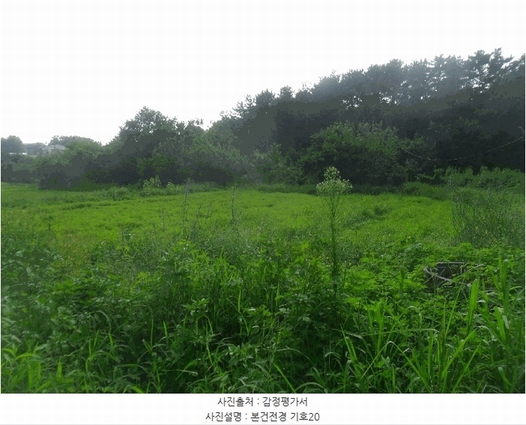 2024타경2918 경상남도 창녕군 영산면 서리 317-4 농지 경매 이미지