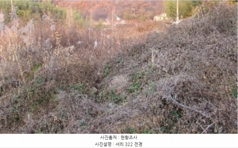 2024타경2918 경상남도 창녕군 영산면 서리 317-4 농지 경매 이미지