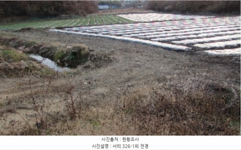 2024타경2918 경상남도 창녕군 영산면 서리 317-4 농지 경매 이미지