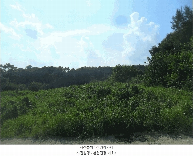 2024타경2918 경상남도 창녕군 영산면 서리 313 근린시설 경매 이미지
