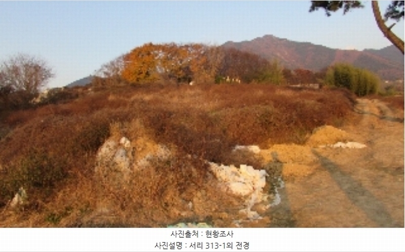 2024타경2918 경상남도 창녕군 영산면 서리 313 근린시설 경매 이미지