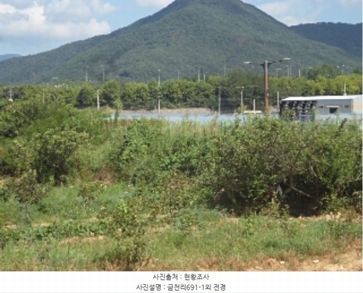 2024타경12090 경상남도 밀양시 산외면 금천리 691-1 하천 경매 이미지