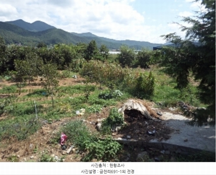 2024타경12090 경상남도 밀양시 산외면 금천리 691-1 하천 경매 이미지