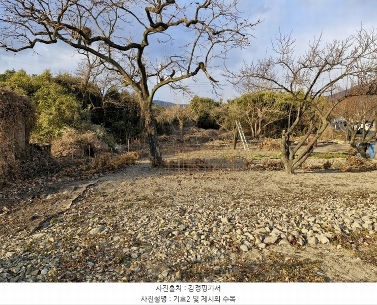 2024타경13444 경상남도 밀양시 청도면 구기리 100-2 대지 경매 이미지