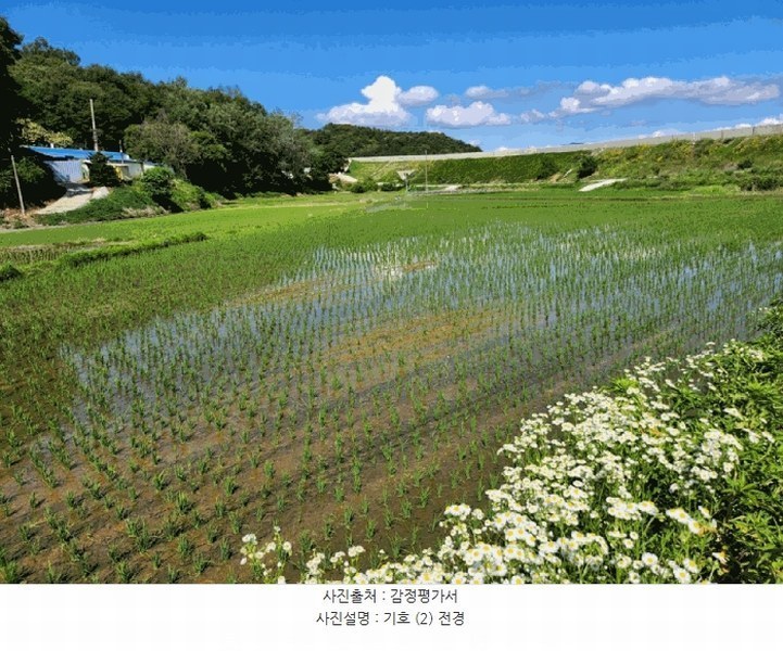 2025타경1104 충청북도 충주시 대소원면 완오리 663-9 임야 경매 이미지