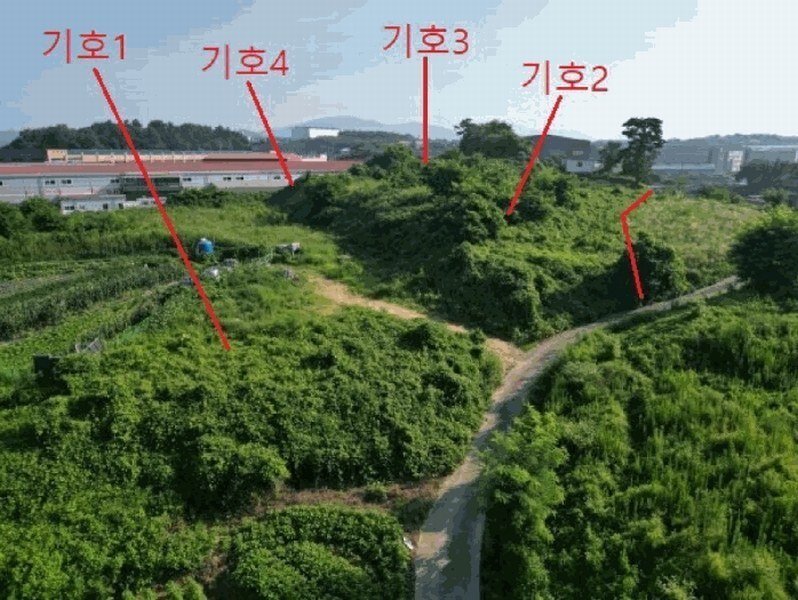 2025타경30655 충청북도 음성군 대소면 대풍리 산33-7 임야 경매 이미지