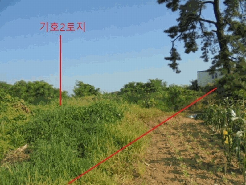 2025타경30655 충청북도 음성군 대소면 대풍리 산33-7 임야 경매 이미지