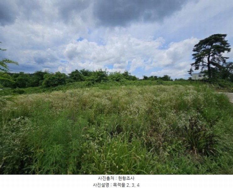 2025타경30655 충청북도 음성군 대소면 대풍리 산33-7 임야 경매 이미지
