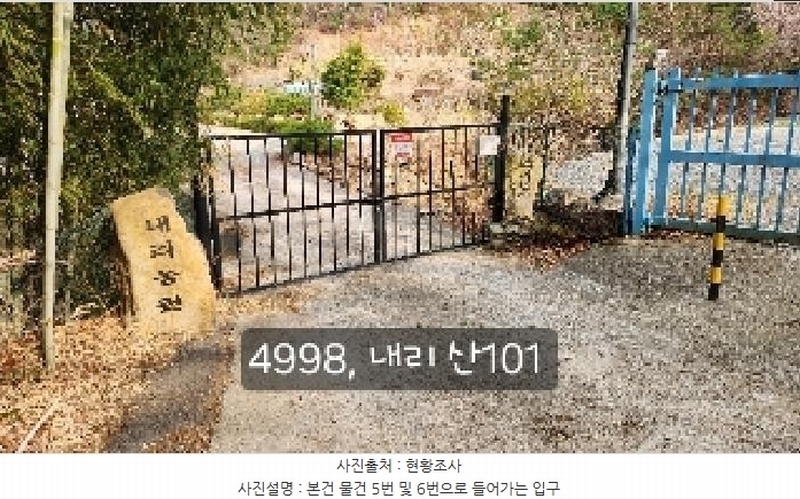 2025타경4998 부산광역시 기장군 기장읍 내리 산101 임야 경매 이미지