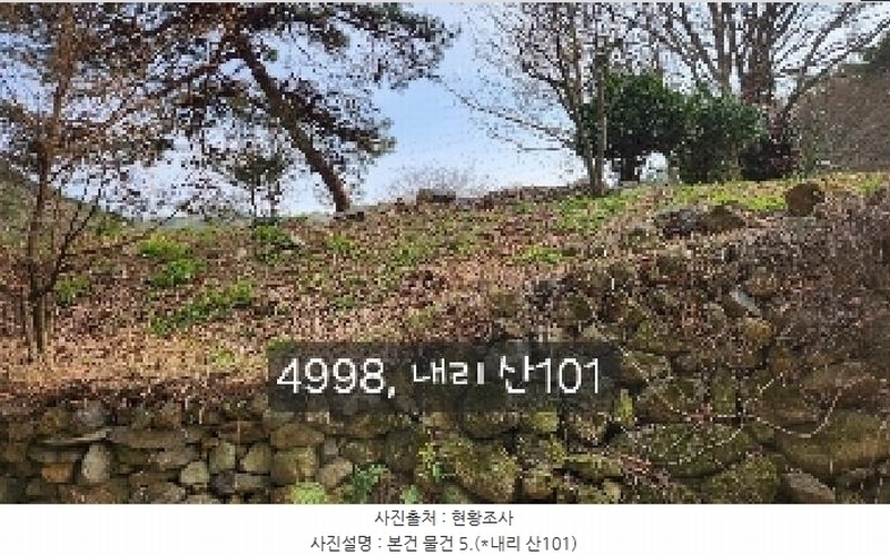 2025타경4998 부산광역시 기장군 기장읍 내리 산101 임야 경매 이미지