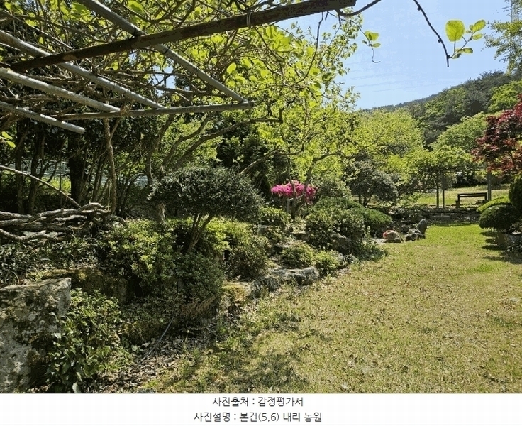 2025타경4998 부산광역시 기장군 기장읍 내리 산101 임야 경매 이미지