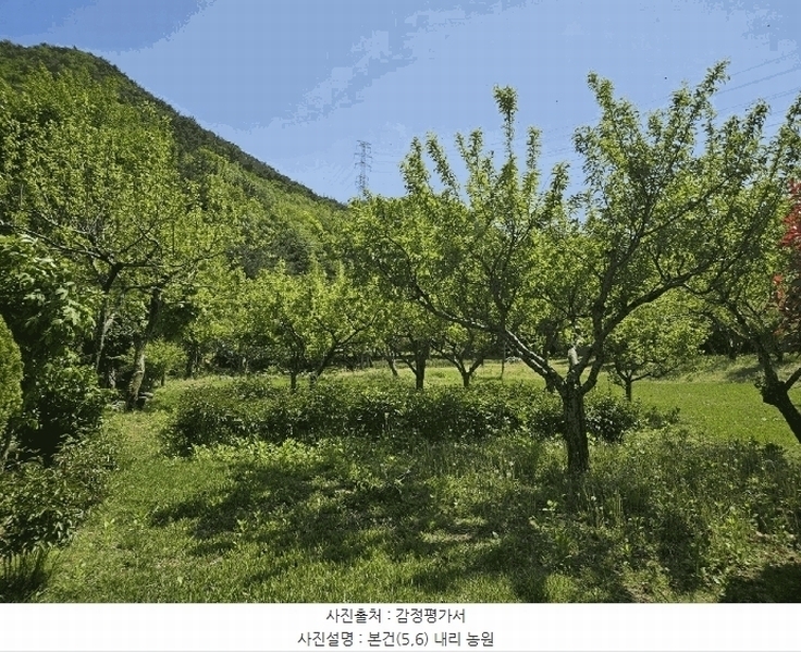 2025타경4998 부산광역시 기장군 기장읍 내리 산101 임야 경매 이미지