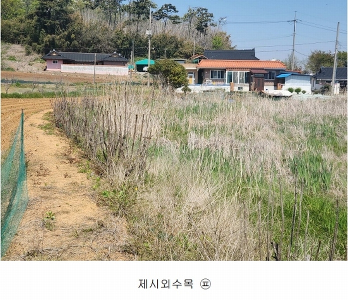 2025타경51279 충청남도 서산시 부석면 간월도리 150 농지 경매 이미지