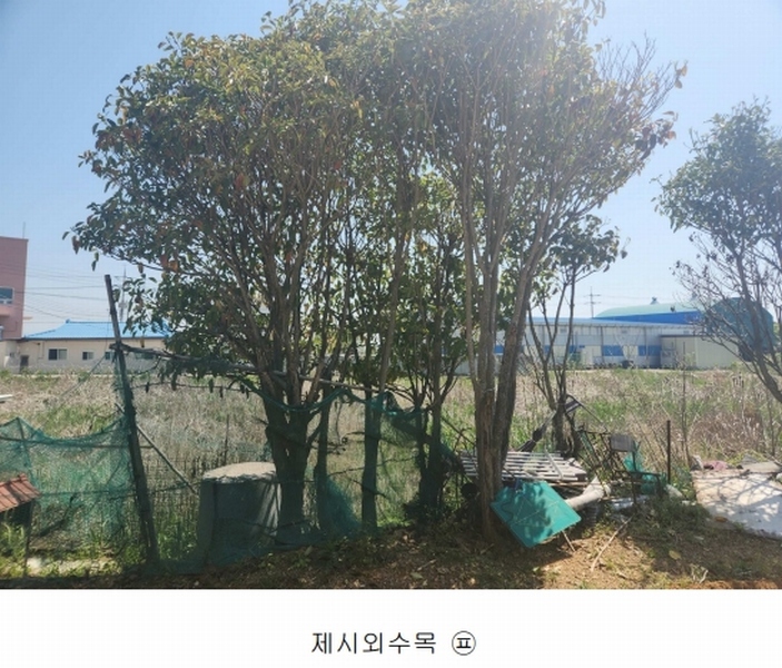 2025타경51279 충청남도 서산시 부석면 간월도리 150 농지 경매 이미지