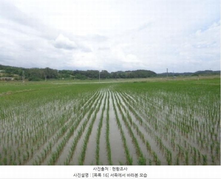 2025타경51410 충청남도 서산시 지곡면 환성리 694-26 농지 경매 이미지