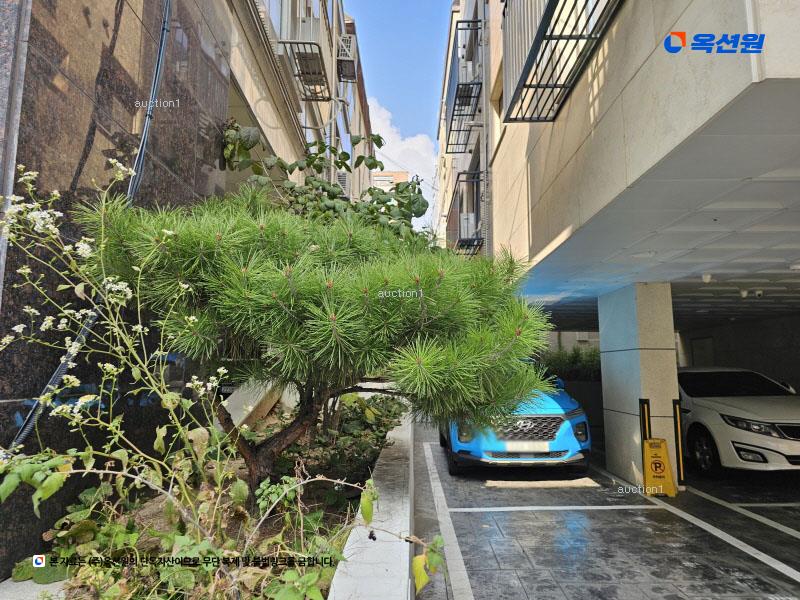 2025타경10488 서울특별시 양천구 목동중앙본로18길 9, 케이씨하우징 4층 401호 다세대(빌라) 경매 이미지