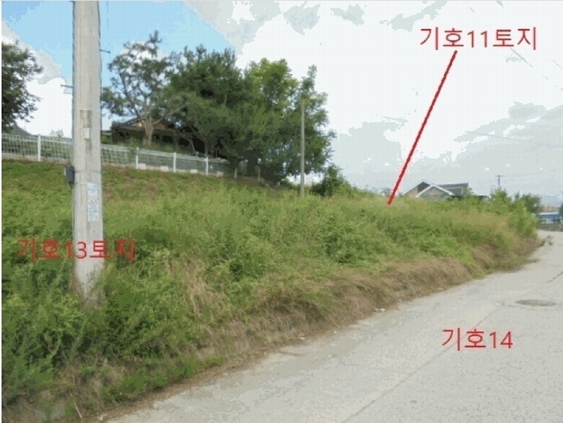 2025타경136 충청북도 제천시 강제동 157-9 과수원 경매 이미지