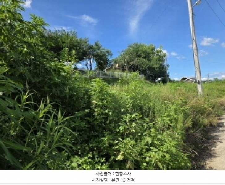 2025타경136 충청북도 제천시 강제동 157-9 과수원 경매 이미지