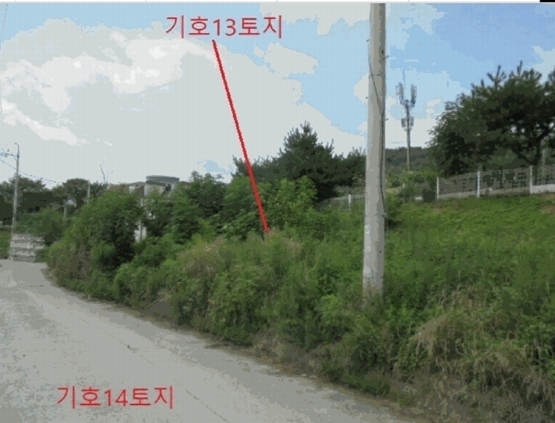 2025타경136 충청북도 제천시 강제동 157-9 과수원 경매 이미지
