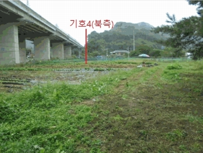 2025타경156 충청북도 제천시 봉양읍 명도리 95-8 농지 경매 이미지