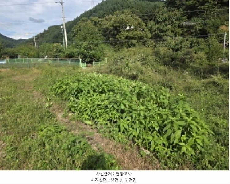 2025타경156 충청북도 제천시 봉양읍 명도리 95-8 농지 경매 이미지