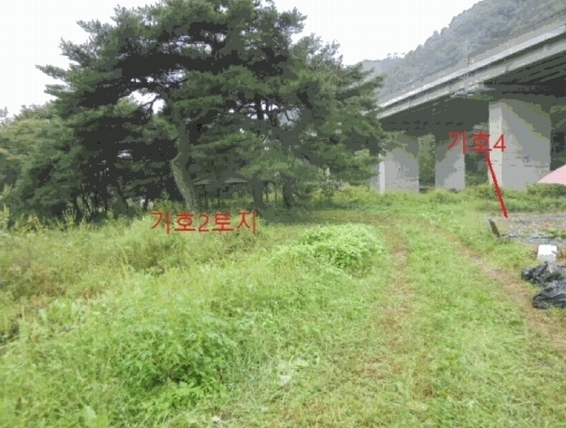 2025타경156 충청북도 제천시 봉양읍 명도리 95-8 농지 경매 이미지