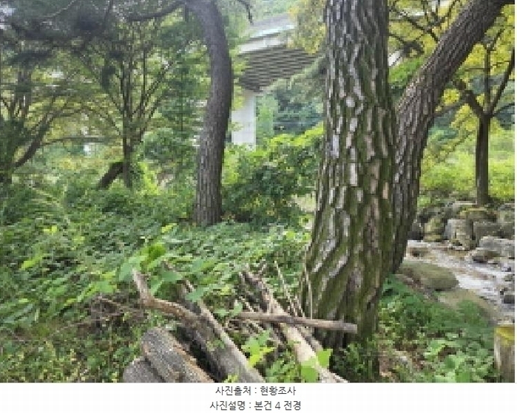 2025타경156 충청북도 제천시 봉양읍 명도리 95-8 농지 경매 이미지