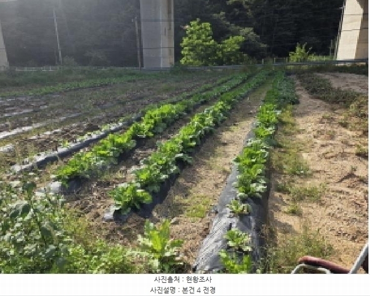 2025타경156 충청북도 제천시 봉양읍 명도리 95-8 농지 경매 이미지