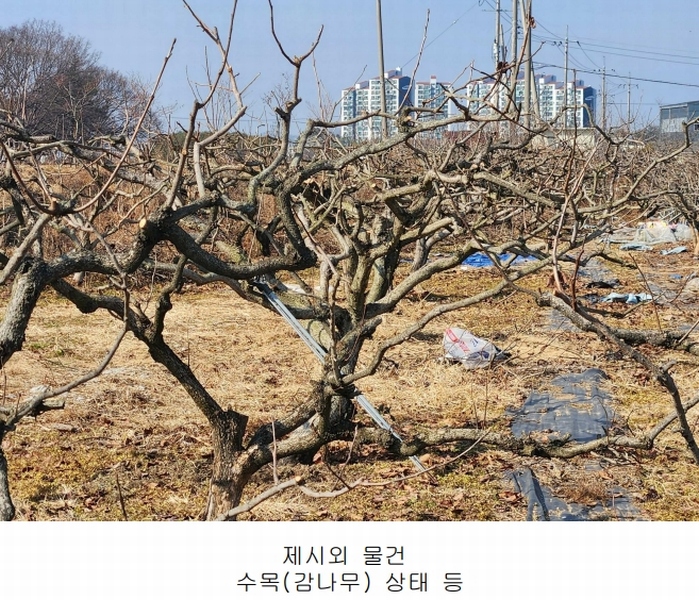 2025타경234 경상남도 사천시 정동면 대곡리 654-5 과수원 경매 이미지