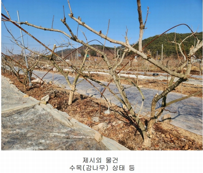 2025타경234 경상남도 사천시 정동면 대곡리 654-5 과수원 경매 이미지