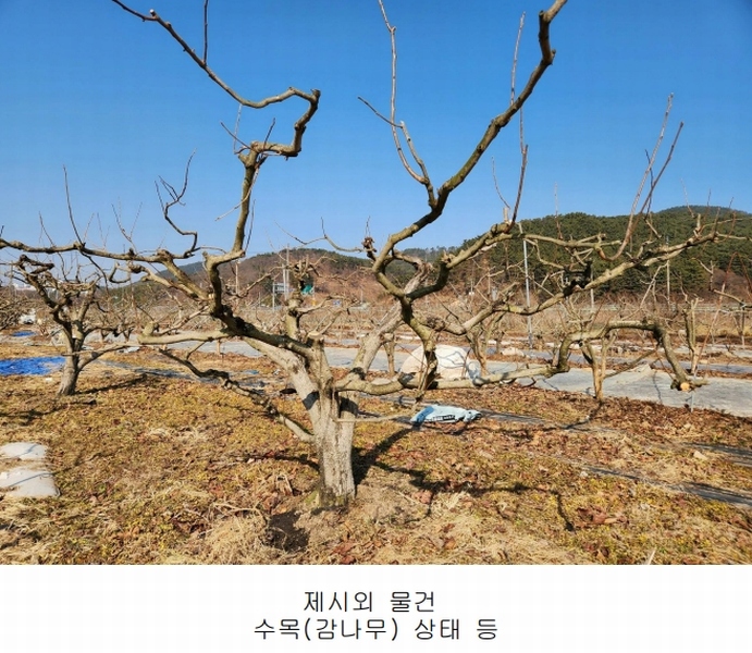 2025타경234 경상남도 사천시 정동면 대곡리 654-5 과수원 경매 이미지