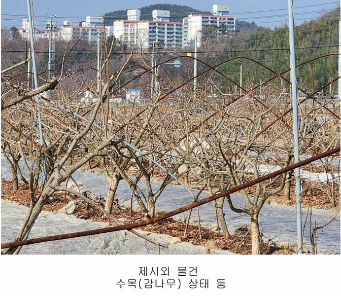 2025타경234 경상남도 사천시 정동면 대곡리 654-5 과수원 경매 이미지