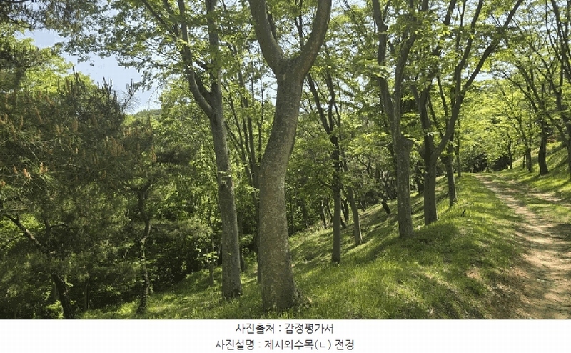 2025타경675 경상남도 사천시 곤명면 삼정리 산40-1 임야 경매 이미지